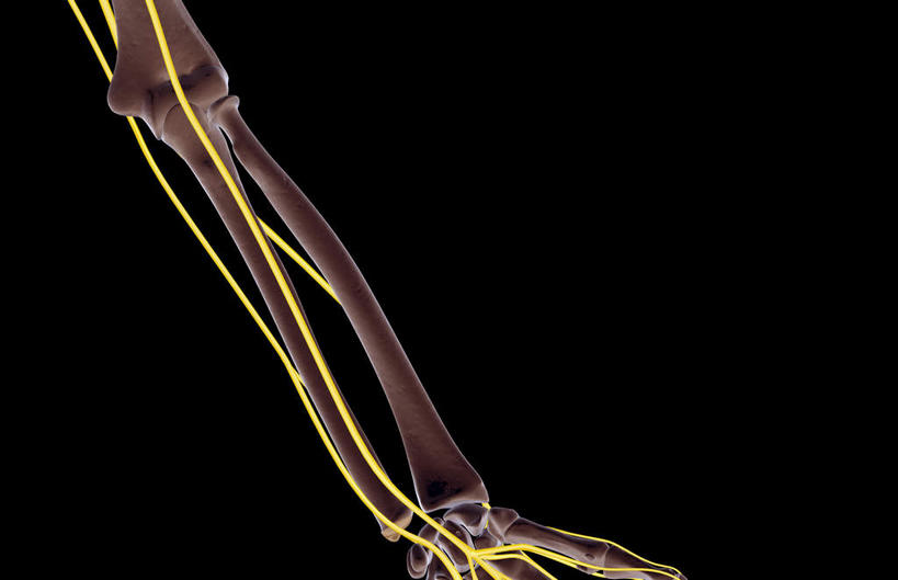 手,神经,动脉,静脉,骨骼,无人,横图,插画,x光片,室内,特写,白天,正面,数码,科技,静物,阴影,黑色背景,辐射,科学,网络,医学,骨头,高光,几何,计算机图形,合成,图画,画,黄色,红色,模型,手部,人体,单个,电脑合成图,数码合成图,骨架,医疗,生物学,科学技术,x射线,x光,漫画,生理学,写实,具体,具象,肱骨,桡骨,掌骨,指骨,半身,彩图,五指张开,神经系统,电磁波,电磁辐射