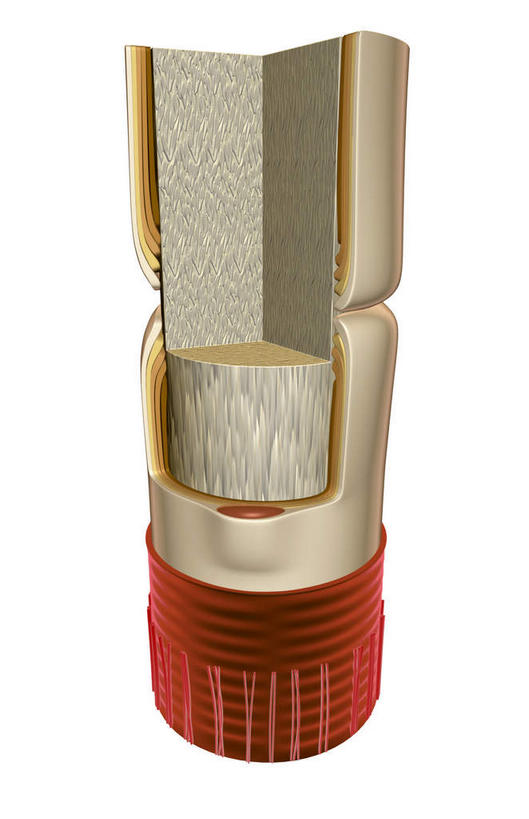 神经,无人,竖图,插画,室内,特写,白天,白色背景,正面,数码,科技,静物,阴影,网络,结构,医学,细胞,高光,几何,计算机图形,构造,内部,合成,图画,画,黄色,红色,人体,电脑合成图,数码合成图,生物学,布局,横截面,漫画,生理学,写实,具体,具象,神经纤维,轴突,彩图,神经系统