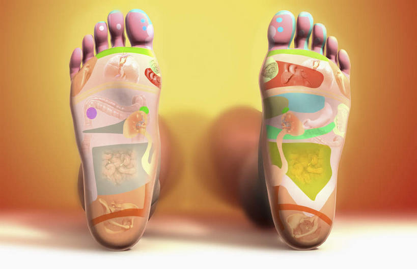 西方人,一个人,无人,横图,室内,白天,正面,按摩,欧洲,欧洲人,仅一个男性,仅一个人,黄色背景,医学,仅一个年轻男性,享受,健康,赤脚,保健,生物学,指压,生理学,脚底按摩,男人,男性,年轻男性,白种人,半身,彩图,推拿