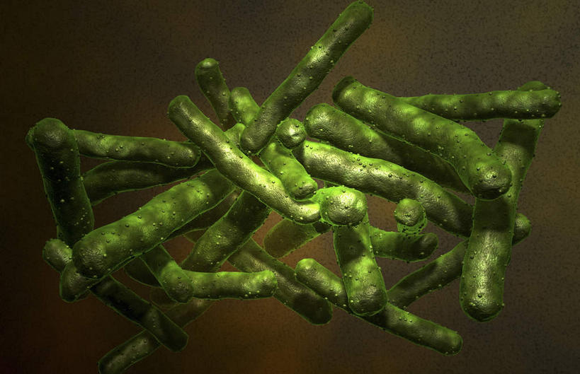 无人,横图,插画,室内,白天,正面,数码,科技,阴影,微小,网络,细菌,医学,高光,几何,计算机图形,合成,图画,画,绿色,动物,电脑合成图,数码合成图,生物学,漫画,病菌,生理学,写实,具体,具象,传染,寄生,结核杆菌,结核分枝杆菌,彩图,微弱