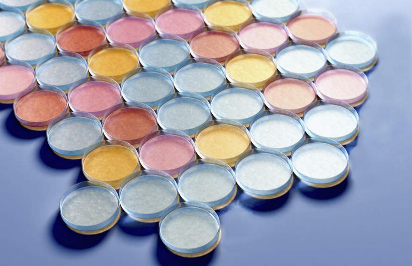 无人,横图,俯视,室内,白天,白色背景,安全,许多,药剂,药丸,防护,药片,黄色,红色,蓝色,白色,药品,治疗,保护,药物,医疗,保险,预防,平安,彩图,高角度拍摄