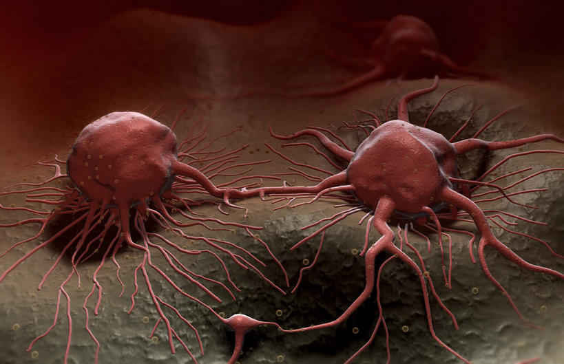 无人,横图,插画,室内,特写,白天,正面,数码,科技,静物,阴影,黑色背景,网络,医学,细胞,高光,几何,计算机图形,合成,图画,画,红色,绿色,人体,电脑合成图,数码合成图,生物学,肿瘤,漫画,癌症,癌细胞,生理学,写实,具体,具象,彩图