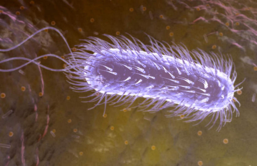 无人,横图,插画,室内,特写,白天,正面,数码,科技,微生物,静物,阴影,网络,细菌,医学,细胞,高光,几何,计算机图形,合成,图画,画,一个,蓝色,人体,单个,电脑合成图,数码合成图,生物学,漫画,生理学,写实,具体,具象,鞭毛,螺旋杆菌,彩图