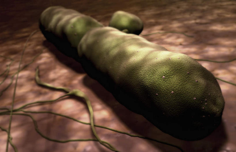 无人,横图,插画,室内,特写,白天,正面,数码,分子,科技,微生物,阴影,网络,医学,高光,几何,计算机图形,合成,图画,画,生物,电脑合成图,数码合成图,医疗,病毒,生物学,漫画,写实,具体,具象,传染病,寄生,生命体,炭疽病,炭疽热,彩图