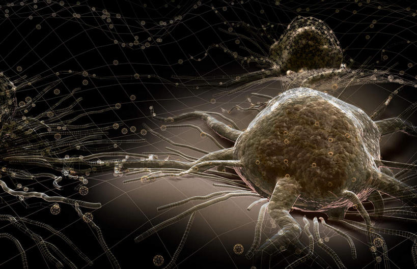 无人,横图,插画,室内,特写,白天,正面,数码,科技,静物,阴影,网络,医学,细胞,高光,几何,计算机图形,合成,图画,画,灰色,人体,电脑合成图,数码合成图,生物学,漫画,癌细胞,生理学,写实,具体,具象,彩图