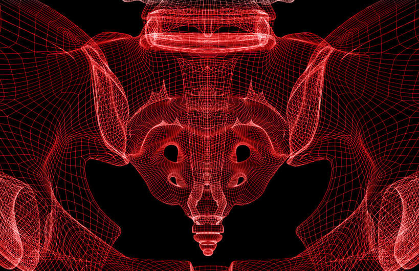 动脉,静脉,骨骼,无人,横图,插画,室内,特写,白天,正面,数码,科技,静物,阴影,网络,医学,骨头,高光,几何,计算机图形,合成,图画,画,红色,模型,人体,电脑合成图,数码合成图,骨架,生物学,盆骨,漫画,生理学,写实,具体,具象,骶骨,尾骨,髂骨,腰椎,坐骨,彩图,生殖器官