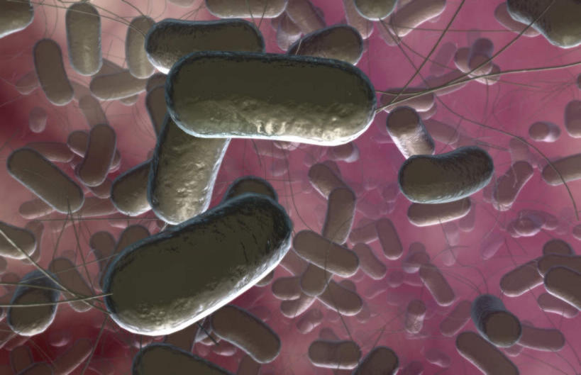 无人,横图,插画,室内,特写,白天,正面,数码,科技,静物,阴影,网络,细菌,医学,细胞,高光,几何,计算机图形,合成,图画,画,人体,电脑合成图,数码合成图,生物学,漫画,生理学,写实,具体,具象,彩图,沙门氏菌