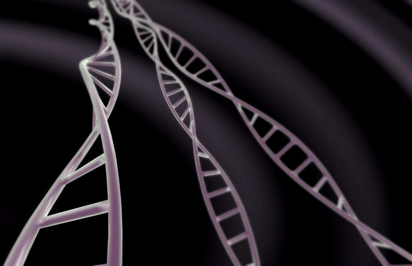 动脉,静脉,骨骼,无人,横图,插画,x光片,室内,特写,白天,正面,数码,科技,静物,阴影,黑色背景,辐射,科学,网络,基因,医学,支架,骨头,高光,几何,计算机图形,合成,图画,画,灰色,模型,生物,人体,遗传,电脑合成图,数码合成图,骨架,医疗,生物学,科学技术,x射线,脱氧核糖核酸,x光,漫画,DNA双螺旋结构,生理学,写实,具体,具象,DNA分子,去氧核糖核酸,遗传信息,遗传因子,遗传学,彩图,电磁波,电磁辐射