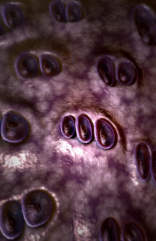 无人,竖图,插画,室内,特写,白天,正面,数码,科技,静物,一排,阴影,黑色背景,整齐,网络,医学,细胞,高光,几何,计算机图形,合成,图画,画,排列,红色,人体,电脑合成图,数码合成图,生物学,队列,漫画,生理学,写实,具体,具象,软骨细胞,胶原蛋白,彩图