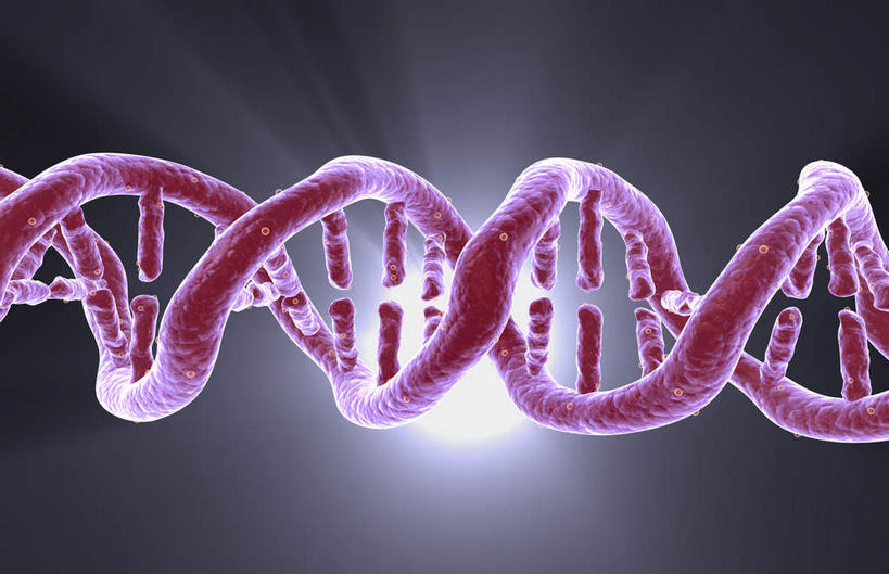 无人,横图,插画,室内,特写,白天,正面,数码,科技,阴影,黑色背景,光线,科学,网络,基因,影子,灯光,高光,几何,计算机图形,合成,图画,画,红色,生物,遗传,电脑合成图,数码合成图,脱氧核糖核酸,漫画,写实,具体,具象,DNA分子,去氧核糖核酸,遗传信息,遗传因子,遗传学,DNA双螺旋,彩图