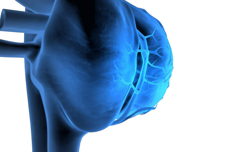 内脏,肺,气管,心脏,神经,动脉,静脉,无人,横图,插画,x光片,室内,特写,白天,正面,数码,科技,静物,阴影,黑色背景,辐射,科学,网络,医学,高光,几何,计算机图形,合成,图画,画,蓝色,模型,人体,电脑合成图,数码合成图,医疗,生物学,科学技术,x射线,器官,筋脉,x光,漫画,支气管,神经元,心血管,心房,心室,生理学,写实,具体,具象,冠状动脉,冠心病,肺部,肺脏,心,彩图,神经系统,电磁波,电磁辐射