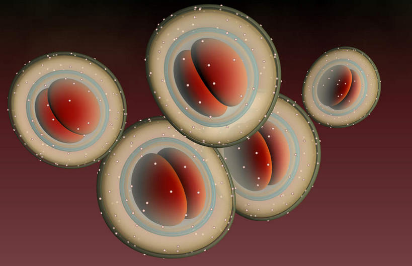 无人,横图,插画,室内,特写,白天,正面,数码,科技,微生物,静物,阴影,网络,医学,细胞,高光,几何,计算机图形,合成,图画,画,人体,电脑合成图,数码合成图,疾病,生物学,漫画,生理学,写实,具体,具象,葡萄球菌,球菌,彩图