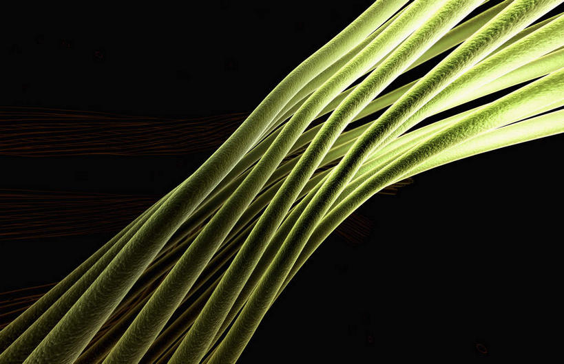神经,无人,横图,插画,室内,特写,白天,正面,数码,科技,静物,阴影,黑色背景,网络,高光,几何,计算机图形,合成,图画,画,绿色,纤维,电脑合成图,数码合成图,筋脉,漫画,神经元,写实,具体,具象,神经纤维,彩图,神经系统