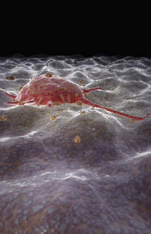 无人,竖图,插画,室内,白天,正面,数码,科技,静物,阴影,黑色背景,网络,医学,细胞,高光,几何,计算机图形,合成,图画,画,白色,人体,电脑合成图,数码合成图,生物学,漫画,生理学,写实,具体,具象,巨噬细胞,彩图