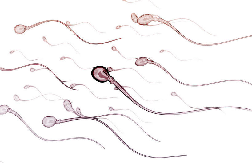 无人,横图,插画,室内,白天,正面,数码,科技,静物,许多,阴影,网络,医学,细胞,高光,几何,计算机图形,合成,图画,画,精子,人体,电脑合成图,数码合成图,生物学,漫画,生理学,写实,具体,具象,生殖细胞,彩图