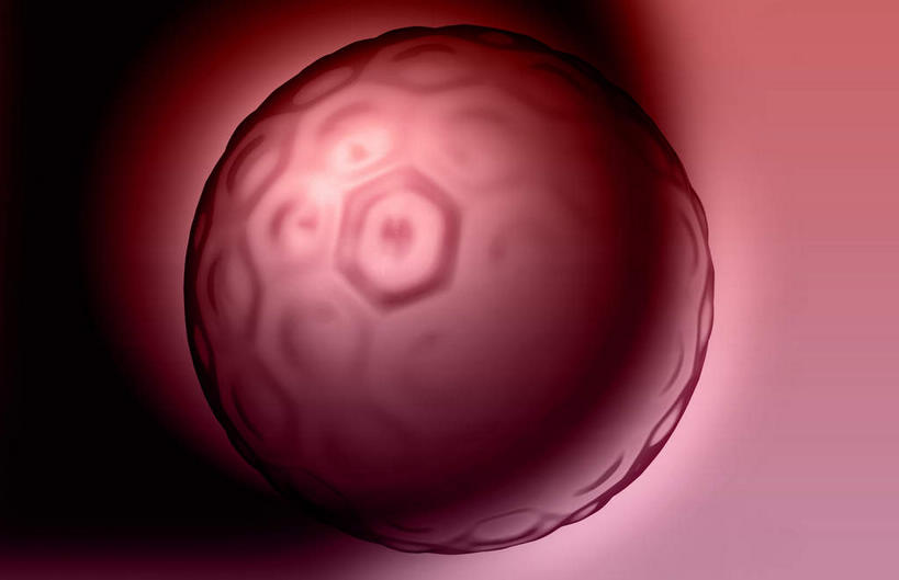 无人,横图,插画,室内,白天,正面,数码,科技,静物,阴影,黑色背景,网络,医学,细胞,高光,几何,计算机图形,合成,图画,画,红色,人体,生长,成长,电脑合成图,数码合成图,胎儿,生物学,发育,漫画,孕育,生理学,写实,具体,具象,胚泡,彩图,胚胎