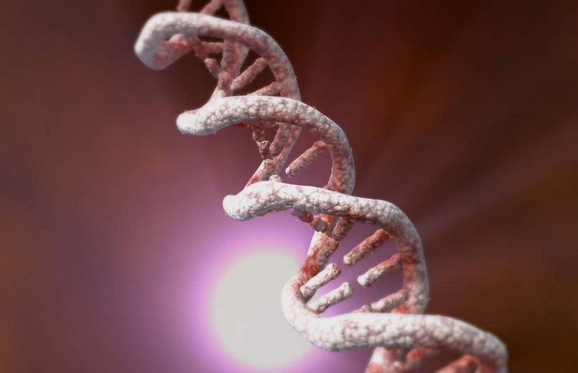 无人,竖图,室内,白天,正面,数码,科技,阴影,红色背景,发光,科学,网络,基因,高光,几何,计算机图形,合成,红色,生物,遗传,电脑合成图,数码合成图,脱氧核糖核酸,写实,具体,具象,DNA分子,去氧核糖核酸,遗传信息,遗传因子,遗传学,DNA双螺旋,彩图