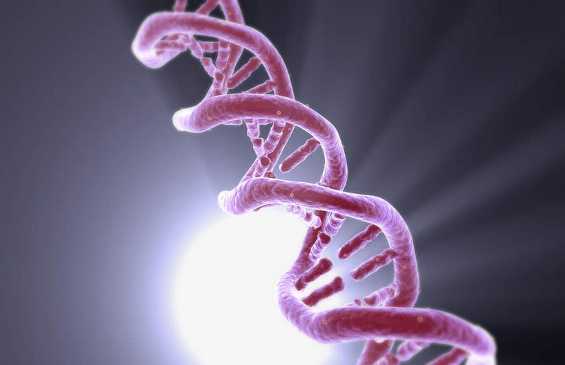 无人,竖图,室内,白天,正面,数码,科技,阴影,黑色背景,发光,科学,网络,基因,高光,几何,计算机图形,合成,红色,生物,遗传,电脑合成图,数码合成图,脱氧核糖核酸,写实,具体,具象,DNA分子,去氧核糖核酸,遗传信息,遗传因子,遗传学,DNA双螺旋,彩图