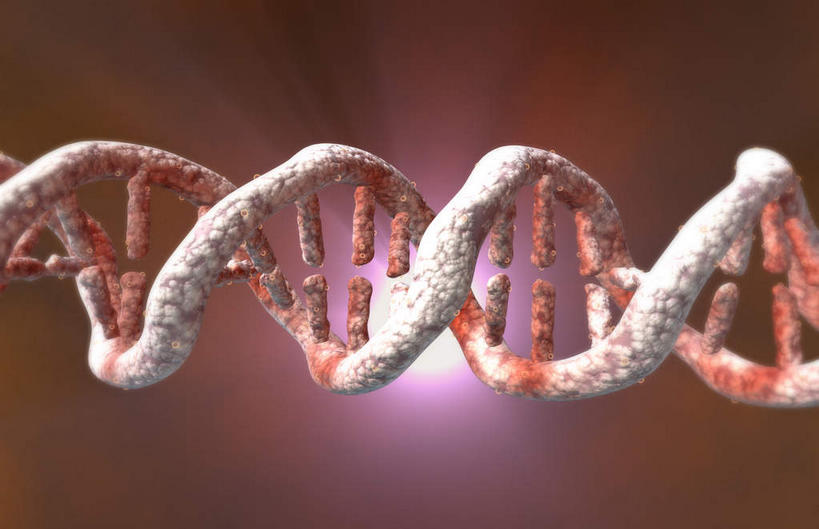 无人,竖图,室内,白天,正面,数码,科技,阴影,红色背景,发光,科学,网络,基因,高光,几何,计算机图形,合成,红色,生物,遗传,电脑合成图,数码合成图,脱氧核糖核酸,写实,具体,具象,DNA分子,去氧核糖核酸,遗传信息,遗传因子,遗传学,DNA双螺旋,彩图