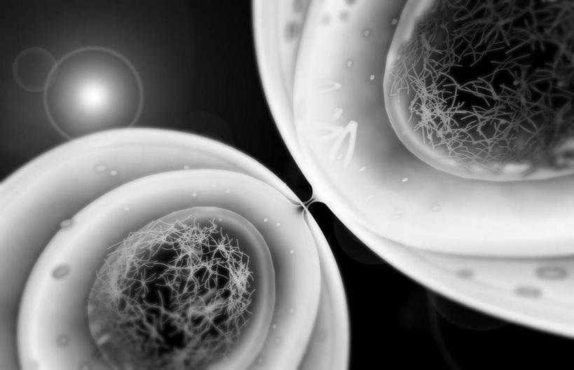 无人,竖图,黑白,室内,白天,正面,数码,科技,阴影,黑色背景,科学,网络,基因,细胞核,染色体,细胞,高光,几何,计算机图形,合成,白色,生物,遗传,电脑合成图,数码合成图,脱氧核糖核酸,破裂,蛋白质,分裂,写实,具体,具象,核糖核酸,染色质,遗传信息,遗传因子,遗传学,割裂,盘据,决裂