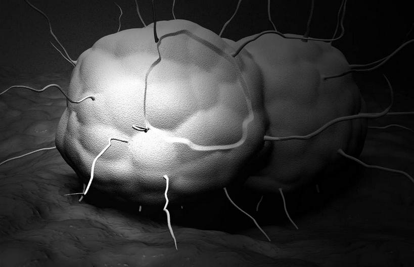 无人,竖图,黑白,室内,白天,正面,数码,科技,阴影,黑色背景,发光,光线,网络,细菌,高光,几何,计算机图形,合成,白色,电脑合成图,数码合成图,性传播疾病,疾病,写实,具体,具象,传染,淋病,淋病奈瑟菌,淋菌,淋球菌,性病