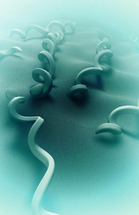 无人,竖图,室内,白天,正面,数码,科技,绿色背景,阴影,科学,网络,基因,细菌,细胞,线条,高光,几何,计算机图形,合成,绿色,生物,遗传,电脑合成图,数码合成图,性传播疾病,疾病,脱氧核糖核酸,写实,具体,具象,传染,DNA分子,去氧核糖核酸,遗传信息,遗传因子,遗传学,梅毒,梅毒螺旋体,性病,彩图