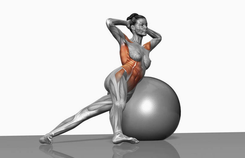 肌肉,健壮,一个人,无人,站,举,竖图,室内,白天,白色背景,侧面,锻炼,瑜伽,运动,数码,科技,仅一个年轻女性,仅一个女性,仅一个人,抱头,阴影,网络,高光,几何,计算机图形,合成,注视,观察,看,靠,靠着,托,站着,健康,健身球,活力,力量,养生,观看,青春,瑜伽球,电脑合成图,数码合成图,察看,强壮,关注,写实,具体,具象,捧首,捧头,背阔肌,三角肌,外斜肌,股直肌,体育,年轻女性,女人,女性,举起,举手,举着,向上举,向上伸,向上托,站立,彩图,全身,健身