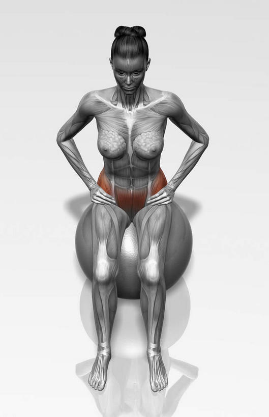 肌肉,健壮,一个人,无人,坐,竖图,俯视,室内,白天,白色背景,锻炼,瑜伽,运动,数码,科技,仅一个年轻女性,仅一个女性,仅一个人,阴影,网络,高光,几何,计算机图形,合成,注视,观察,看,健康,健身球,活力,力量,养生,观看,青春,瑜伽球,电脑合成图,数码合成图,察看,强壮,关注,写实,具体,具象,背阔肌,三角肌,外斜肌,股直肌,体育,年轻女性,女人,女性,坐着,彩图,高角度拍摄,全身,健身