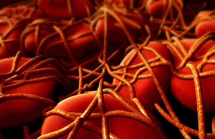 无人,横图,插画,室内,特写,白天,正面,数码,科技,静物,阴影,网络,血,医学,细胞,高光,几何,计算机图形,合成,图画,画,红色,血液,人体,电脑合成图,数码合成图,生物学,漫画,生理学,写实,具体,具象,血块,彩图