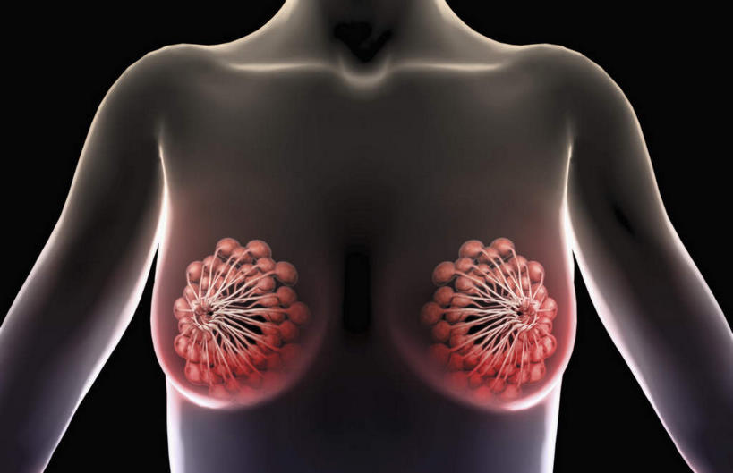 西方人,胸,一个人,无人,站,横图,插画,室内,白天,正面,数码,科技,静物,欧洲,欧洲人,仅一个年轻女性,仅一个女性,仅一个人,许多,阴影,黑色背景,网络,医学,细胞,高光,几何,计算机图形,合成,图画,画,红色,站着,人体,电脑合成图,数码合成图,生物学,漫画,生理学,写实,具体,具象,乳腺,年轻女性,女人,女性,白种人,胸部,站立,彩图