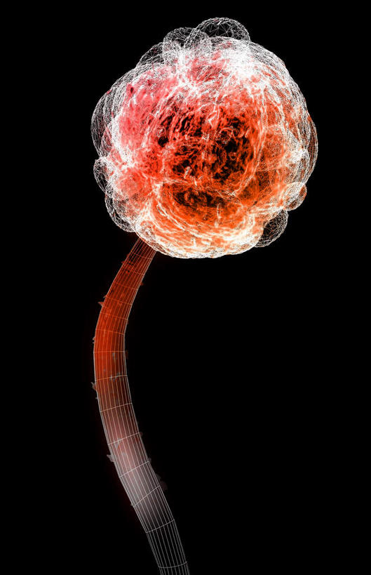 竖图,插画,室内,白天,正面,数码,科技,微生物,阴影,黑色背景,网络,医学,高光,几何,计算机图形,合成,图画,画,一个,红色,生物,单个,电脑合成图,数码合成图,医疗,病毒,生物学,漫画,霉菌,写实,具体,具象,寄生,生命体,生物病毒,霉菌毒素,半身,彩图