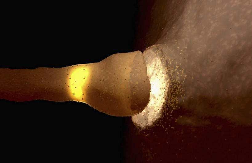 无人,横图,插画,室内,白天,正面,数码,科技,静物,阴影,网络,医学,细胞,高光,几何,计算机图形,合成,图画,画,人体,电脑合成图,数码合成图,生物学,漫画,生理学,写实,具体,具象,神经细胞,运动神经元,轴突,囊泡,彩图