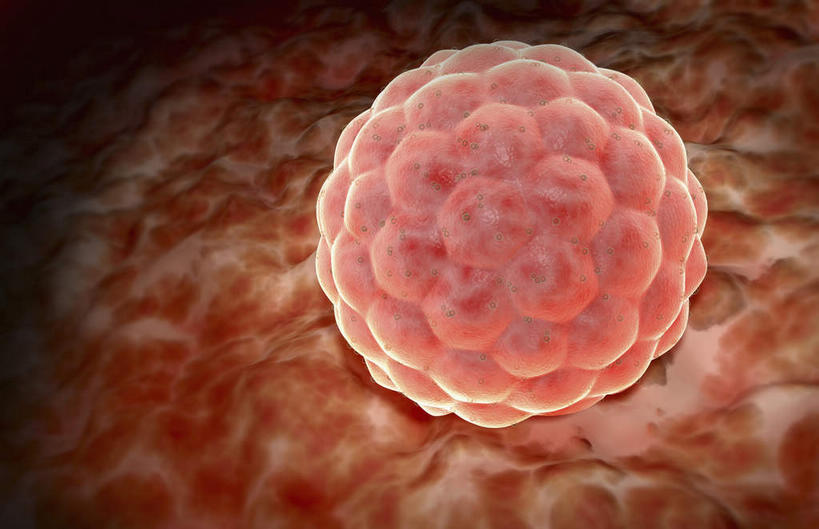 无人,横图,插画,室内,特写,白天,白色背景,正面,数码,科技,静物,阴影,网络,医学,细胞,高光,几何,计算机图形,合成,图画,画,人体,电脑合成图,数码合成图,生物学,漫画,生理学,写实,具体,具象,合胞体滋胚层,彩图