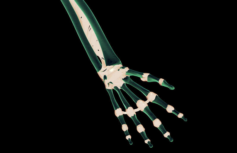 动脉,静脉,骨骼,无人,横图,室内,特写,白天,正面,数码,科技,静物,伸展,阴影,黑色背景,局部,网络,医学,骨头,光芒,高光,几何,计算机图形,合成,绿色,模型,伸直,人体,部分,电脑合成图,数码合成图,骨架,生物学,韧带,生理学,写实,具体,具象,桡骨,腕骨,掌骨,指骨,半身,彩图,五指张开