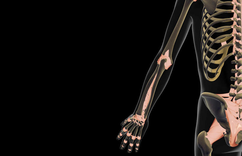 动脉,静脉,骨骼,胸骨,肋骨,无人,横图,室内,特写,白天,正面,数码,科技,静物,阴影,黑色背景,局部,网络,医学,骨头,光芒,高光,几何,计算机图形,合成,模型,人体,皮肤,部分,电脑合成图,数码合成图,骨架,生物学,韧带,生理学,写实,具体,具象,尺骨,骶骨,肱骨,髋骨,桡骨,腕骨,尾骨,胸椎,腰骨,掌骨,指骨,肋软骨,关节囊,半身,彩图