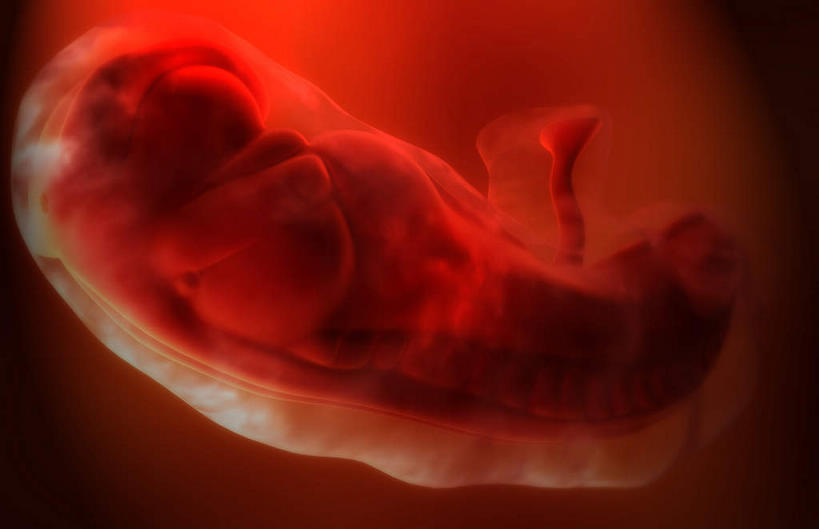 孕妇,子宫,一个人,横图,室内,特写,白天,正面,数码,科技,仅一个人,阴影,网络,高光,几何,计算机图形,合成,怀孕,生长,成长,电脑合成图,数码合成图,胎儿,待产,发育,孕育,写实,具体,具象,妊娠,准妈妈,羊水,产妇,彩图,全身,胚胎