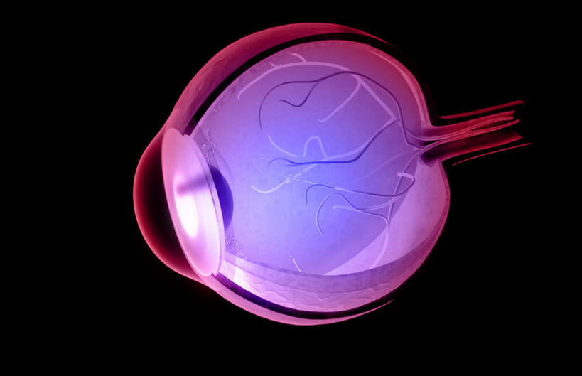 眼睛,无人,横图,室内,特写,白天,正面,数码,科技,瞳孔,阴影,黑色背景,局部,网络,光芒,高光,几何,计算机图形,合成,红色,眼部,部分,电脑合成图,数码合成图,视网膜,眼球,器官,写实,具体,具象,巩膜,角膜,脉络膜,视觉器官,眼房,眼球壁,眼,彩图