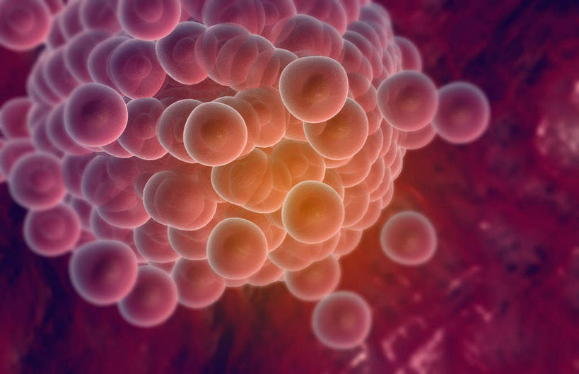 无人,横图,插画,室内,特写,白天,正面,数码,科技,静物,阴影,网络,医学,细胞,高光,几何,计算机图形,合成,图画,画,人体,电脑合成图,数码合成图,生物学,漫画,生理学,卵细胞,写实,具体,具象,菌体,亚细胞,彩图,生殖器官