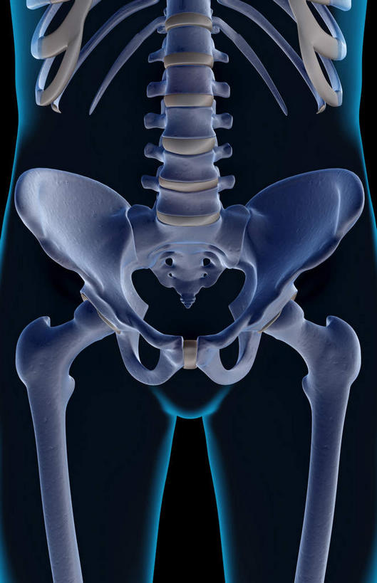 动脉,静脉,骨骼,无人,竖图,插画,室内,特写,白天,正面,数码,科技,静物,阴影,黑色背景,局部,网络,医学,骨头,光芒,高光,几何,计算机图形,合成,图画,画,蓝色,模型,人体,部分,电脑合成图,数码合成图,骨架,生物学,漫画,生理学,写实,具体,具象,髋骨,尾骨,腰骨,半身,彩图