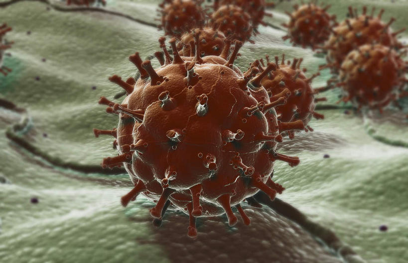 无人,横图,插画,室内,特写,白天,正面,数码,科技,阴影,网络,医学,细胞,高光,几何,计算机图形,合成,图画,画,生物,电脑合成图,数码合成图,医疗,疾病,生物学,艾滋病,漫画,写实,具体,具象,传染,传染病,HIV病毒,后天性免疫缺陷症候群,获得性免疫缺陷综合症,流行症,慢性病,人类免疫缺陷病毒,症候群,综合症,致命,反转录酶,逆转录酶,彩图,感染