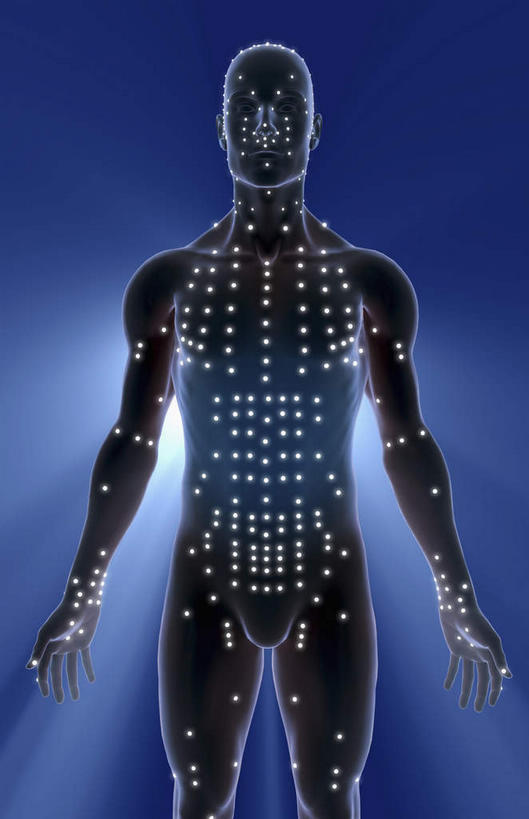 无人,竖图,插画,室内,特写,白天,正面,数码,科技,静物,一排,阴影,黑色背景,局部,整齐,网络,医学,光芒,高光,几何,计算机图形,合成,图画,画,排列,人体,部分,电脑合成图,数码合成图,生物学,穴位,队列,针灸,漫画,生理学,写实,具体,具象,分布,半身,彩图