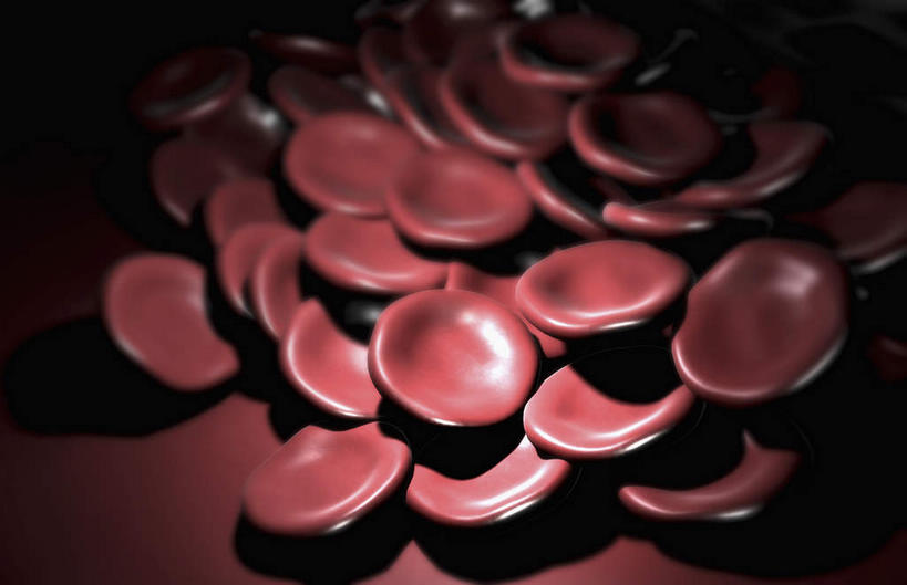 无人,横图,插画,室内,特写,白天,正面,数码,科技,静物,阴影,网络,红血球,医学,细胞,高光,几何,计算机图形,合成,图画,画,人体,电脑合成图,数码合成图,生物学,漫画,生理学,写实,具体,具象,彩图