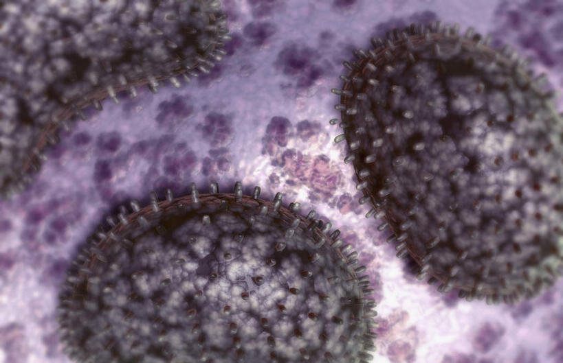 无人,横图,插画,室内,特写,白天,正面,数码,科技,微生物,阴影,网络,医学,细胞,高光,几何,计算机图形,合成,图画,画,生物,电脑合成图,数码合成图,医疗,病毒,生物学,漫画,写实,具体,具象,寄生,甲型流感病毒,生命体,生物病毒,流感病毒,A型流感病毒,彩图