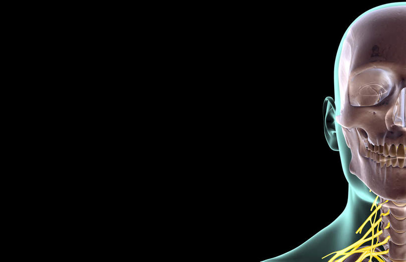 神经,动脉,静脉,骨骼,无人,横图,插画,x光片,室内,特写,白天,正面,数码,科技,静物,阴影,黑色背景,局部,辐射,科学,网络,医学,骨头,光芒,高光,几何,计算机图形,合成,图画,画,模型,人体,部分,电脑合成图,数码合成图,骨架,医疗,生物学,科学技术,x射线,x光,漫画,生理学,写实,具体,具象,鼻骨,顶骨,额骨,颈椎,颈神经,下颌骨,颈丛,半身,彩图,电磁波,电磁辐射