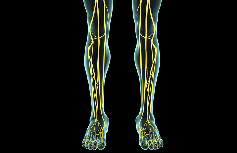 神经,动脉,静脉,腿,无人,横图,插画,x光片,室内,特写,白天,正面,数码,科技,静物,阴影,黑色背景,局部,辐射,科学,网络,医学,光芒,高光,几何,计算机图形,合成,图画,画,人体,皮肤,部分,电脑合成图,数码合成图,医疗,生物学,科学技术,x射线,x光,漫画,生理学,写实,具体,具象,胫神经,四肢,半身,彩图,电磁波,电磁辐射