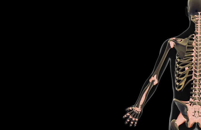 动脉,静脉,骨骼,无人,站,横图,插画,x光片,室内,特写,白天,正面,数码,科技,静物,阴影,黑色背景,局部,辐射,科学,网络,医学,骨头,光芒,高光,几何,计算机图形,合成,图画,画,模型,站着,人体,部分,电脑合成图,数码合成图,骨架,医疗,生物学,科学技术,x射线,x光,韧带,漫画,生理学,写实,具体,具象,站立,半身,彩图,前纵韧带,电磁波,电磁辐射