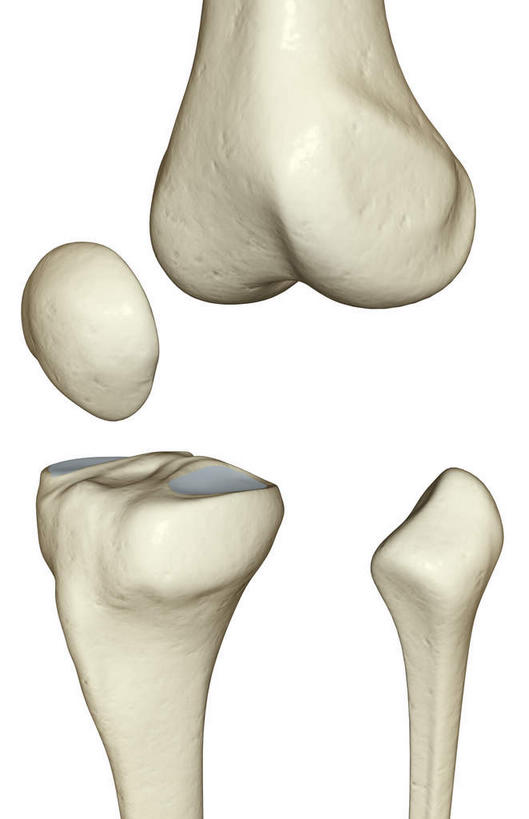动脉,静脉,骨骼,无人,竖图,插画,室内,特写,白天,白色背景,正面,数码,科技,静物,阴影,局部,网络,医学,骨头,高光,几何,计算机图形,合成,图画,画,模型,人体,部分,电脑合成图,数码合成图,骨架,生物学,漫画,生理学,写实,具体,具象,髌骨,股骨,胫骨,髁骨,半身,彩图