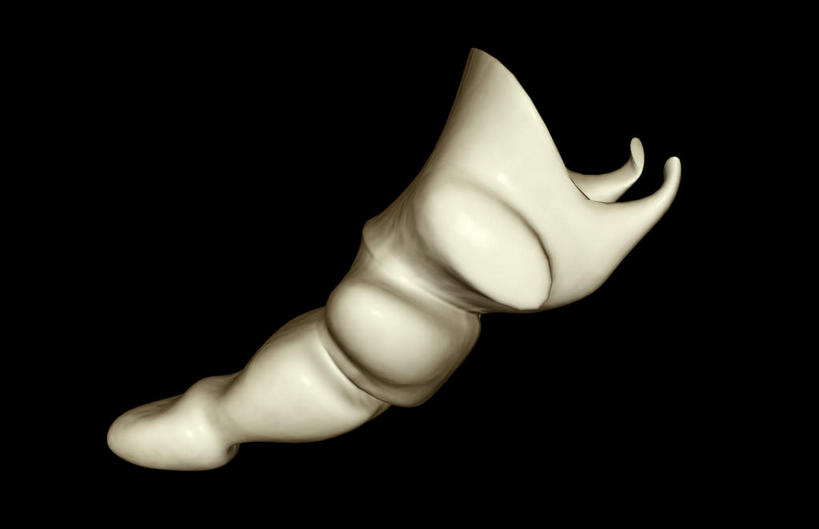 动脉,静脉,骨骼,无人,竖图,插画,室内,特写,白天,正面,数码,科技,静物,阴影,黑色背景,局部,网络,医学,骨头,高光,几何,计算机图形,合成,图画,画,模型,人体,部分,电脑合成图,数码合成图,骨架,生物学,漫画,生理学,写实,具体,具象,尾骨,半身,彩图