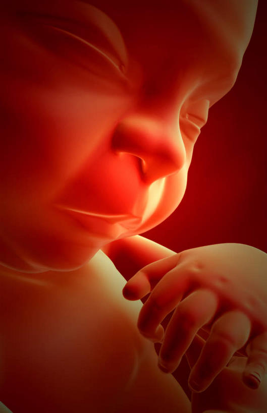 一个人,竖图,插画,室内,特写,白天,正面,数码,科技,仅一个人,阴影,网络,高光,几何,计算机图形,合成,图画,画,生长,成长,电脑合成图,数码合成图,胎儿,发育,漫画,孕育,写实,具体,具象,羊水,半身,彩图,胚胎