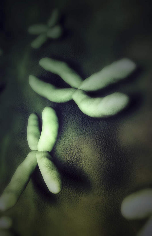 无人,竖图,插画,室内,特写,白天,正面,数码,科技,静物,阴影,黑色背景,科学,网络,基因,细胞核,医学,染色体,高光,几何,计算机图形,合成,图画,画,生物,人体,遗传,电脑合成图,数码合成图,生物学,脱氧核糖核酸,蛋白质,漫画,生理学,写实,具体,具象,DNA分子,核糖核酸,去氧核糖核酸,染色质,遗传信息,遗传因子,遗传学,彩图